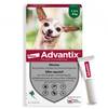 Pipette anti puce pour petit chien