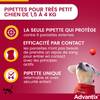 Pipette anti puce pour très petit chien