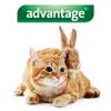 Pour chat et lapin de plus de 4 kg