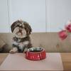 Gamelle rouge Hunter pour chien