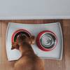 Gamelle rouge Hunter pour chien