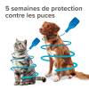 Pipette anti-tique et anti-puce Fiprotec chat Beaphar