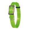 Collier fluo plein-air et chasse vert pour chien