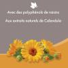 Lait anti-démangeaison au Calendula Beaphar pour chien et chat