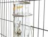 Biberon en verre 250 ml cochon d'Inde Honey Hopper Trixie