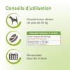 Vermipure pour chien comprimés purge aux plantes Beaphar