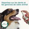 Spray dentifrice chien et chat - flacon 150 ml Beaphar