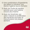 Spray dentifrice chien et chat - flacon 150 ml Beaphar
