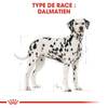 ROYAL CANIN Croquettes Dalmatien Adult sac de 12 kg