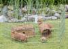 Enclos métal extérieur pour rongeur