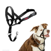 HALTI Collier de dressage Taille 2 pour chien