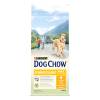 DOG CHOW Croquettes Complet au poulet pour chien adulte