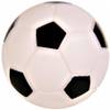 Petite balle football pour chien