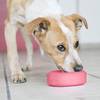 Jouet pour chiot KONG Puppy Tires