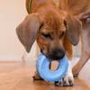 Jouet pour chiot KONG Puppy Tires