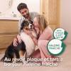 Bâtonnets dentaires chien S, sachet de 7 Beaphar
