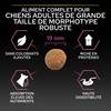 PRO PLAN Large Robust Adult OptiDerma au saumon 14 kg pour chien