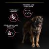 PRO PLAN Large Robust Adult OptiDerma au saumon 14 kg pour chien