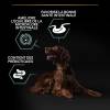 PRO PLAN Large Athletic Adult Sensitive Digestion agneau pour chien