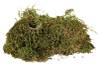 Mousse Trixie pour terrarium tropical 200 g