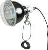 Lampe réflecteur à pince 100 W pour terrarium