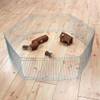 Enclos d'intérieur pour souris et hamster