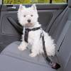 Harnais de voiture pour chien