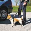 Harnais de voiture pour chien