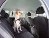 Filet pour voiture pour chien Trixie
