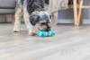 Os Denta Fun Mintfresh Plus pour chien