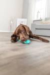 Os Denta Fun Mintfresh Plus pour chien