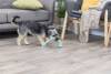 Jouet bâton avec corde pour chien