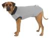 Body de protection pour chien