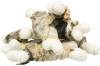 Friandises Fishies pour chien Trixie