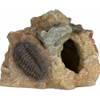 Décor aquarium petit fossile 8 cm