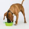 Muselière Muzzle Flex pour chien