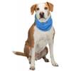 Bandana rafraîchissant pour chien
