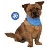 Bandana rafraîchissant pour chien