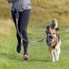 Ceinture ventrale canicross avec laisse noir taille M pour chien