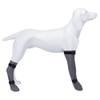 Chaussettes de protection pour chien