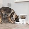 Distributeur automatique croquettes TX7 pour chien et chat