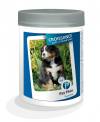 Croissance grand chien