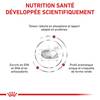 ROYAL CANIN Veterinary Diet Renal special pour Chien