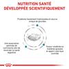 ROYAL CANIN Veterinary Diet Hypoallergenic Moderate pour Chien
