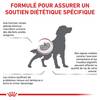 ROYAL CANIN Veterinary Diet Renal RF 14 pour Chien