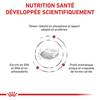 ROYAL CANIN Veterinary Diet Renal RF 14 pour Chien