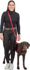 Collier Premium rouge pour chien