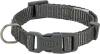 Collier Premium gris pour chien