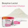 Lactol lait chaton Beaphar