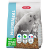Alimentation pour perruche